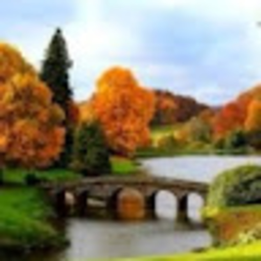 Meet your Posher, Eunice